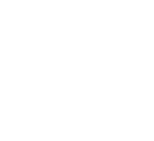 Lares_logo_Damovo_white