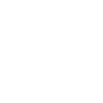 Lares_logo_Damovo_white_4_to_1